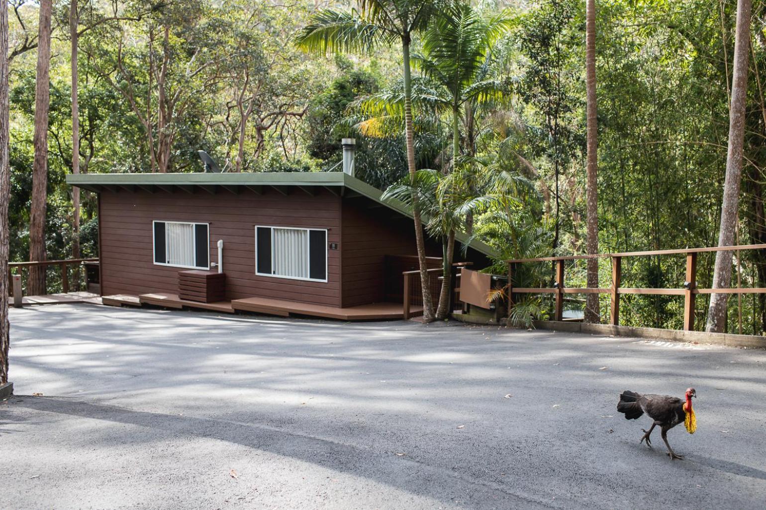 Kondalilla Eco Resort Montville Exterior photo